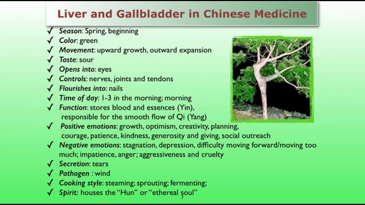 How to Heal your Liver YouTube