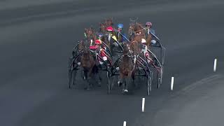 Vidéo de la course PMU CRITERIUM DES 4 ANS