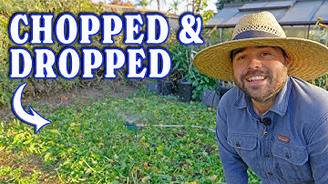 How Cover Crops Solved My Root-Knot Nematodes & Fungal Disease!