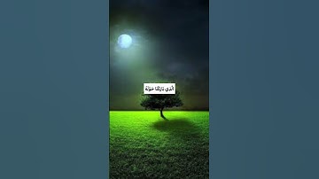 سُبْحَانَ الَّذِي أَسْرَىٰ بِعَبْدِهِ لَيْلًا❤️#مع_القرآن #راحة_نفسية #حسن_الظن_بالله #سورة_الإسراء