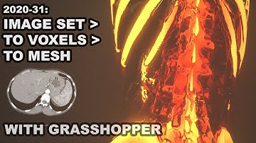 2020-31 LTH Tutorials: Convert Medical Scan Images To a 3D Mesh ( Monolith + Grasshopper )