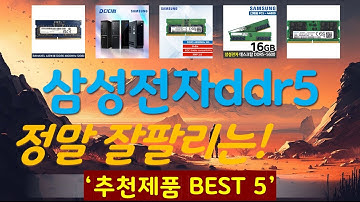 삼성전자ddr5pc5-38400데스크탑4800mhz 추천, 파격특가 할인정보 가성비 TOP5
