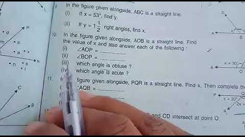 Q10 Ex -24A ch-24 Angles by love with mathematics