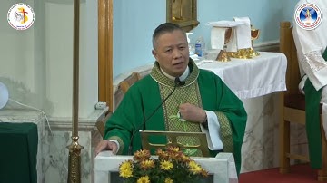 Bài Giảng Chúa Nhật 32 Thường Niên Năm C | Lm. Phanxicô Phạm Quang Hậu, CSrS.