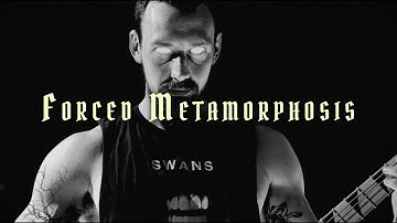 Crypt Crawler - Forced Metamorphosis (Official Music Video)