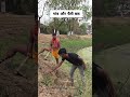 गांव और चैती छठ 🙏🙏#comedy #comedyvideos #funny #comedyshorts #bhojpuri #shortvideos #gaon #trending
