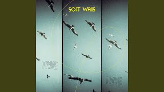 Video thumbnail of "Soft Walls - It's Not Complicated"