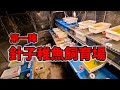 【第一陣】針子稚魚の飼育【ビニールハウス】ゾウリムシ.ブラインシュリンプ.安らぎAQUAちゃんねる