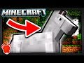 SOLVING the "BEST HORSE" MINECRAFT MYSTERY!