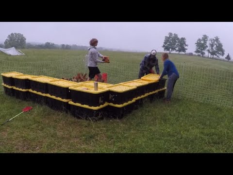 Chickens off to