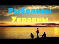 Победитель конкурса по Щуке