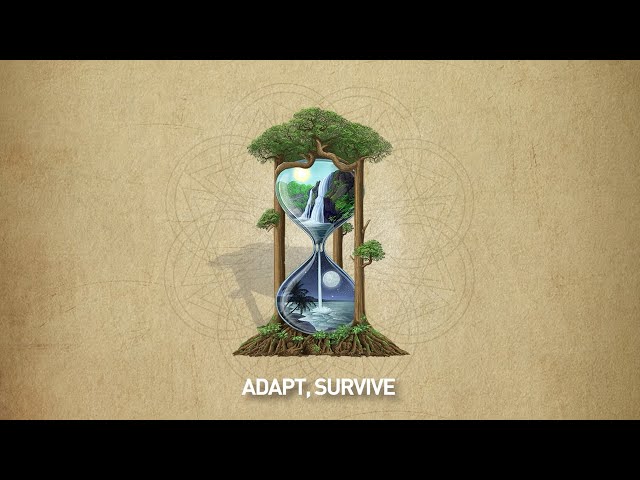 Rebelution - Adapt, Survive