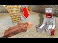 Я ПОСАДИЛ МАШКУ СКРОМНИКА В ПОДВАЛ ПОД ДОМОМ В МАЙНКРАФТ ! Алексбой Minecraft