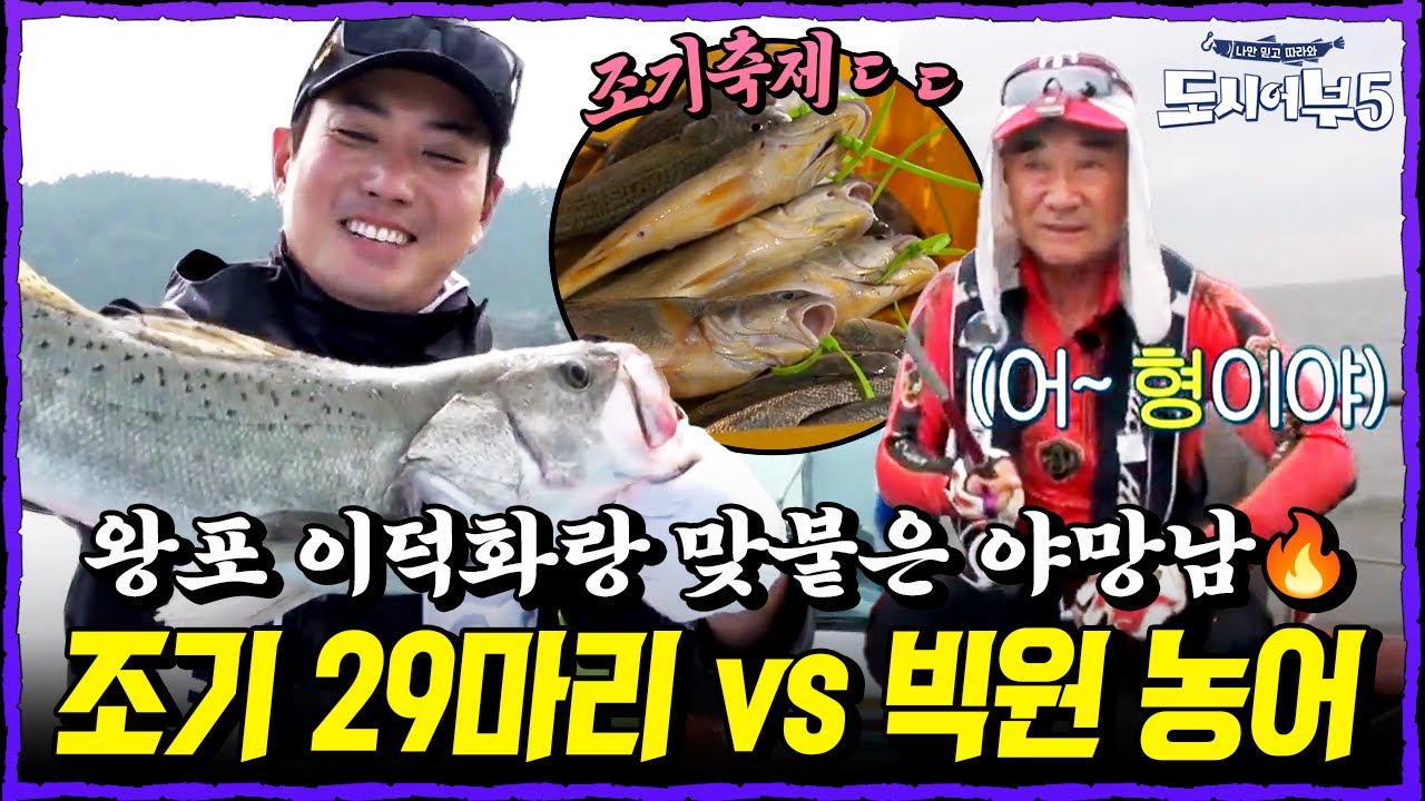 이덕화 조기 29마리 싹쓸이! 왕포에서 벌어진 낚시 대결🔥 주상욱의 빅원 농어 한방 반전?! | 도시어부5 5회