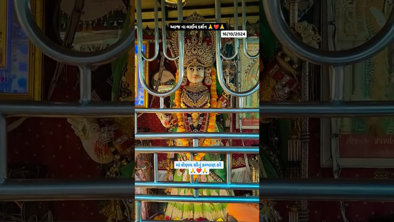 Ma senal live darshan