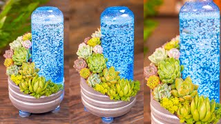 DIY | Making Succulent Lamp by Recycling Plastic Bottle| Home Decoration Ideas