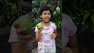 কাঁচা আম মাখা||Aam makha#shortvideo #viralshort