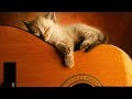 Ultimate relaxing guitar music collection  playlist