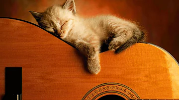 Ultimate Relaxing Guitar Music Collection | #playlist