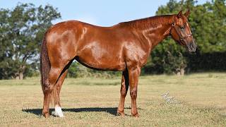 A SMART CHECK-LONG VIDEO- Billings Consignment 