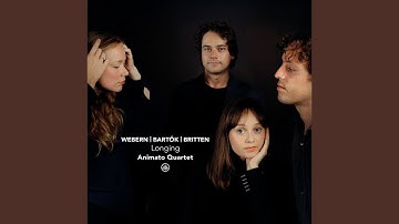 String Quartet No. 1 in A Minor, Op. 7, Sz. 40: I. Lento