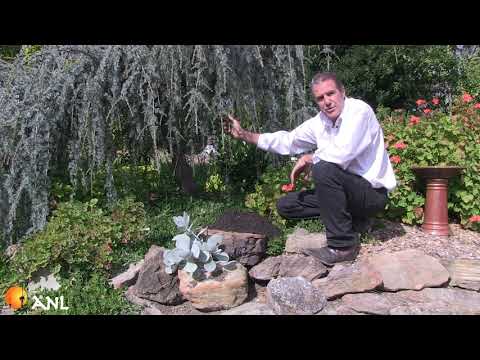 Premium Garden Mix: Understand the Function and Use