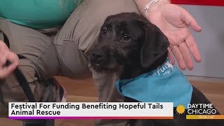 Festival For Funding Benefiting Hopeful Tails Animal Rescue