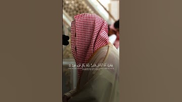 سورة النور | خالد المهنا