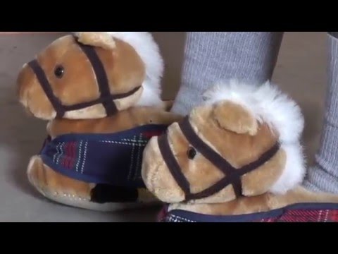 Cara Hafalkan Test Dressage