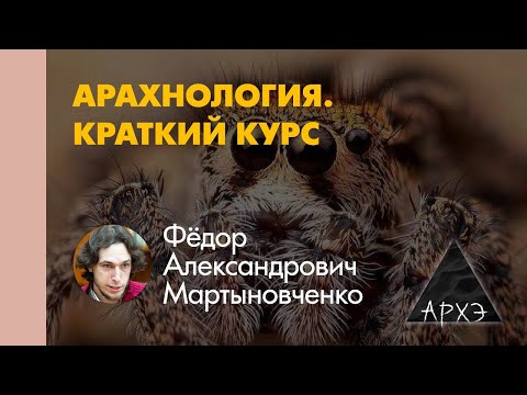 Федор Мартыновченко «Хелицеровые и паукообразные — общая характеристика»