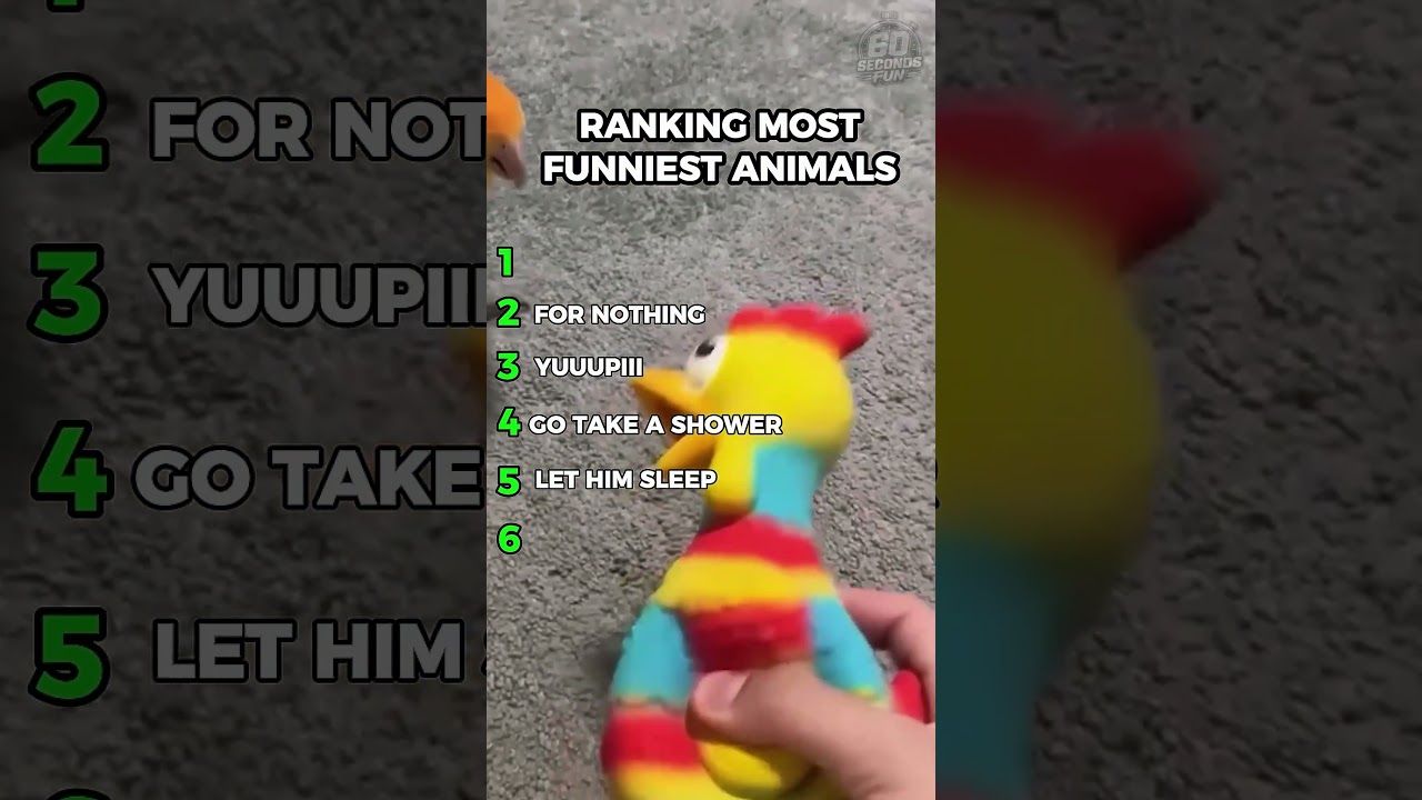 RANKING the FUNNIEST Animal Moments 🐶 #3 #funny #animals #ranking