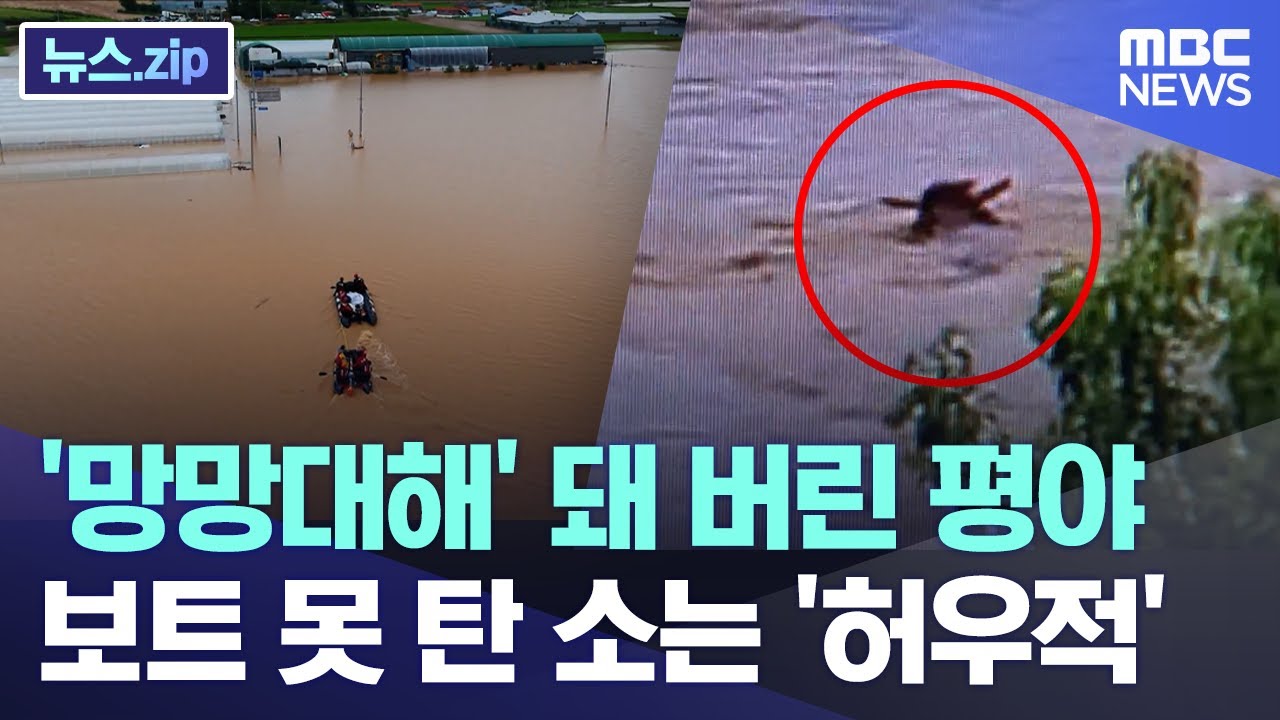'망망대해' 돼 버린 평야.. 보트 못 탄 소는 '허우적' [뉴스.zip/MBC뉴스]