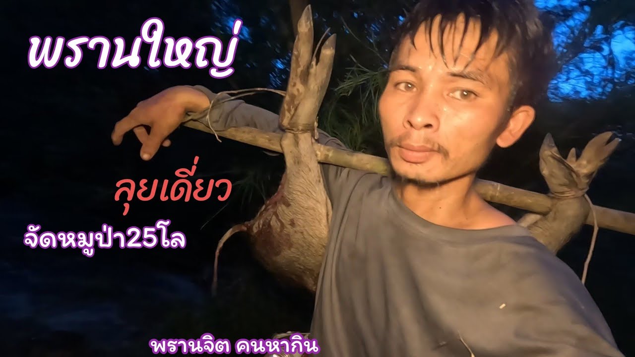 พรานใหญ่ลุยเดี่ยวจัดบักเหวอ//พรานจิต คนหากิน//ພານໃຫຍ່ລຸຍດ່ຽວຈັດບັກເຫວີ//ພານຈິດ ຄົນຫາກິນ//