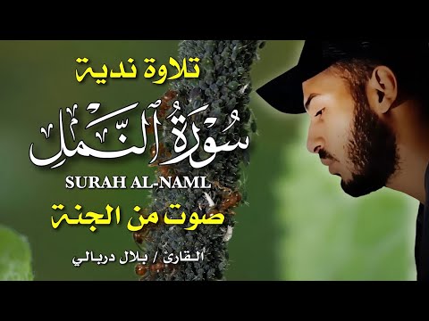سورة النمل كاملة بصوت القارئ بلال دربالي تلاوة خاشعة تلامس القلوب وتغمر النفس بالسكينة