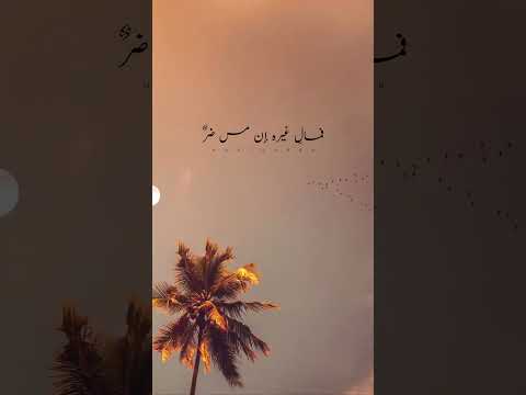 نشيد ولي امل بربي لا يخيب