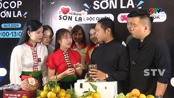 Quảng bá, xúc tiến thương mại, kết nối cung cầu sản phẩm OCOP