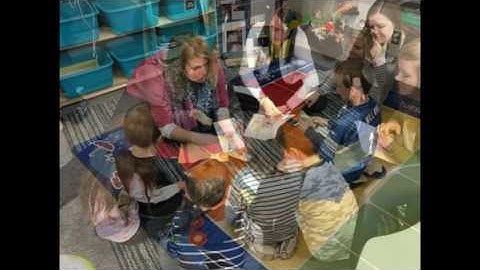 Domain 4 Professionalism