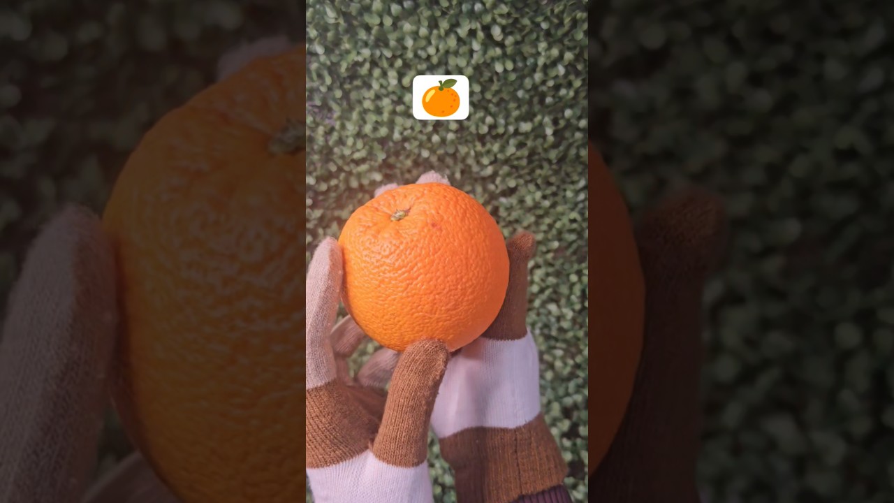 Orange 🍊 | Learn English for Kids 