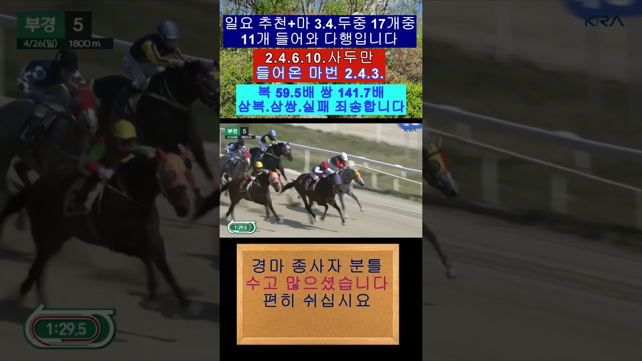2다나카 와 4다실바 기수 멋진추입 들어오는 영상보기