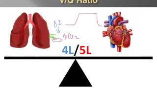 Capnography For EMS - Part 3