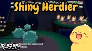 Pokemmo Found A Shiny Herdier Krkn