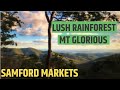 RAINFOREST WALKS - Mt Glorious and Samford Markets | Queensland, Australia Travel Vlog 028, 2020