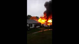 Flames From Fire Reach Into and Whip Pine Tree Branches