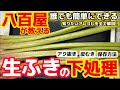 実際にお店で教えていた【生ふき下処理の方法】皮むき・アク抜き・茹で方・保存方法の全工程をていねい解説!八百屋が教えるレシピ!フキ下ごしらえ・蕗・ゆで時間・春野菜・あくぬき・基本・初心者・始めて・山菜