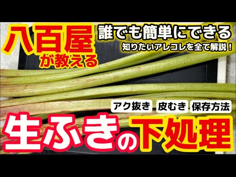 実際にお店で教えていた【生ふき下処理の方法】皮むき・アク抜き・茹で方・保存方法の全工程をていねい解説！八百屋が教えるレシピ！フキ下ごしらえ・蕗・ゆで時間・春野菜・あくぬき・基本・初心者・始めて・山菜