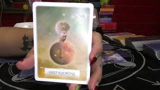 TWIN FLAME DM/DF: THE MIRROR DUEL TAROT READING