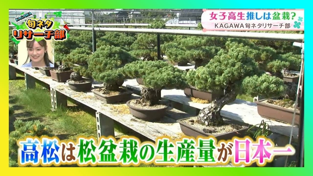 後編】和の文化にハマる若者 女子高生推しは盆栽？高松の盆栽を全国へ 