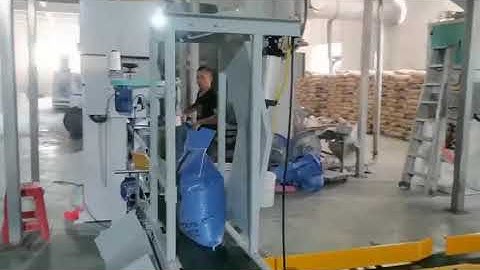 rice flour bag filling palletizing production line scale loading unloading machine bremetz