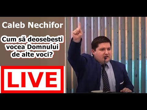 LIVE! Caleb Nechifor: