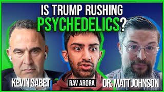 DEBATE: Psychedelic Policy Is OVERHYPED? - Dr. Matt Johnson vs Kevin Sabet